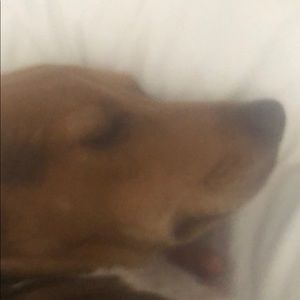 Meet your Posher, Cadyn